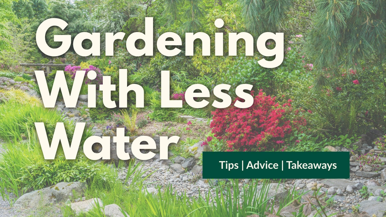 Drought Resistant Gardens program image