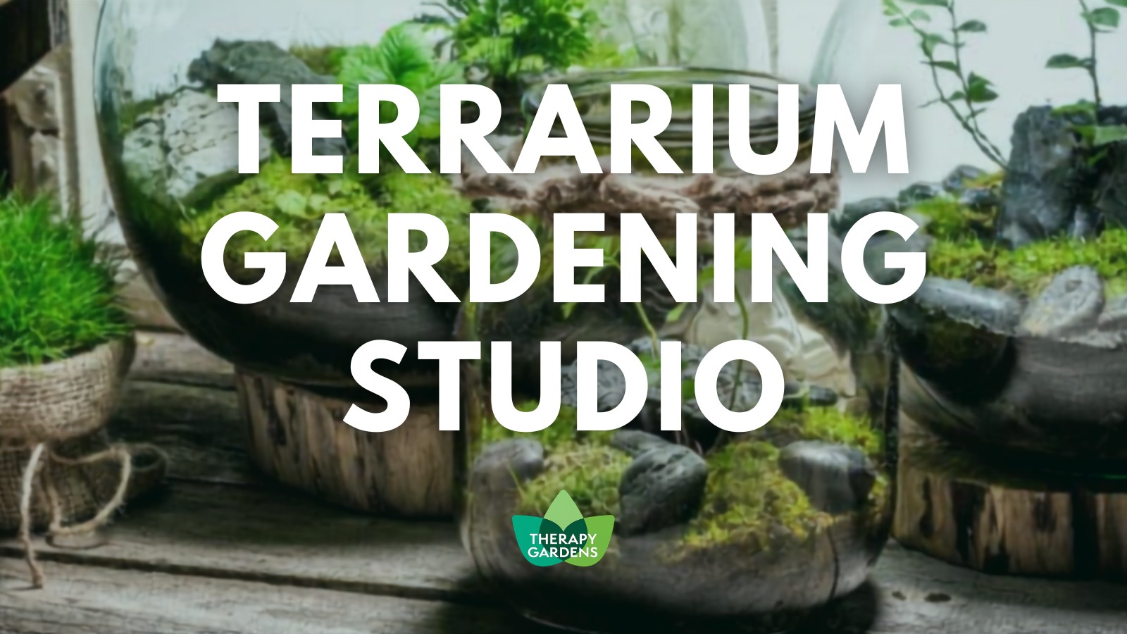 Terrarium Gardening Studio program image