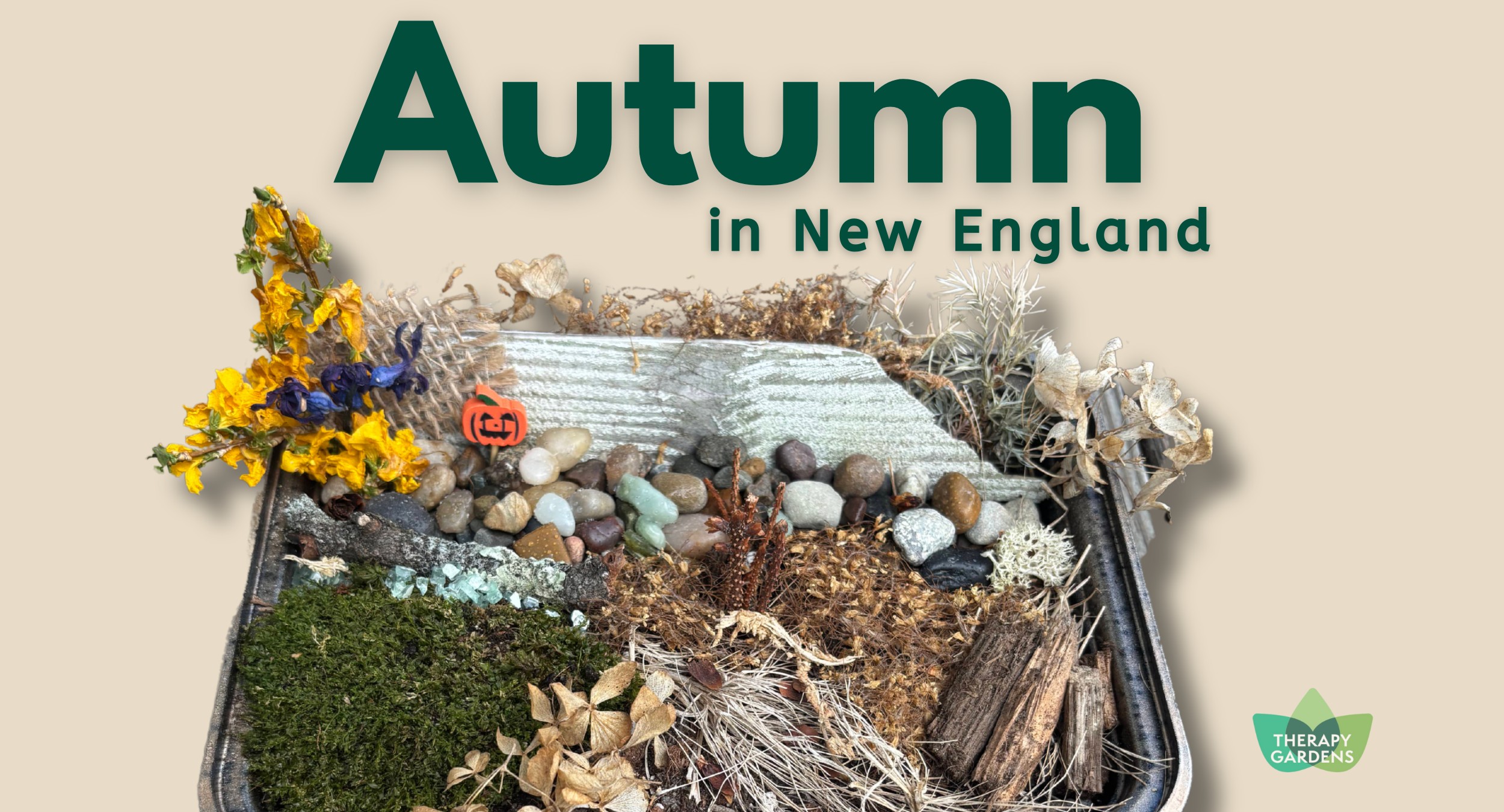 Autumn Landscape Tiny Garden program image