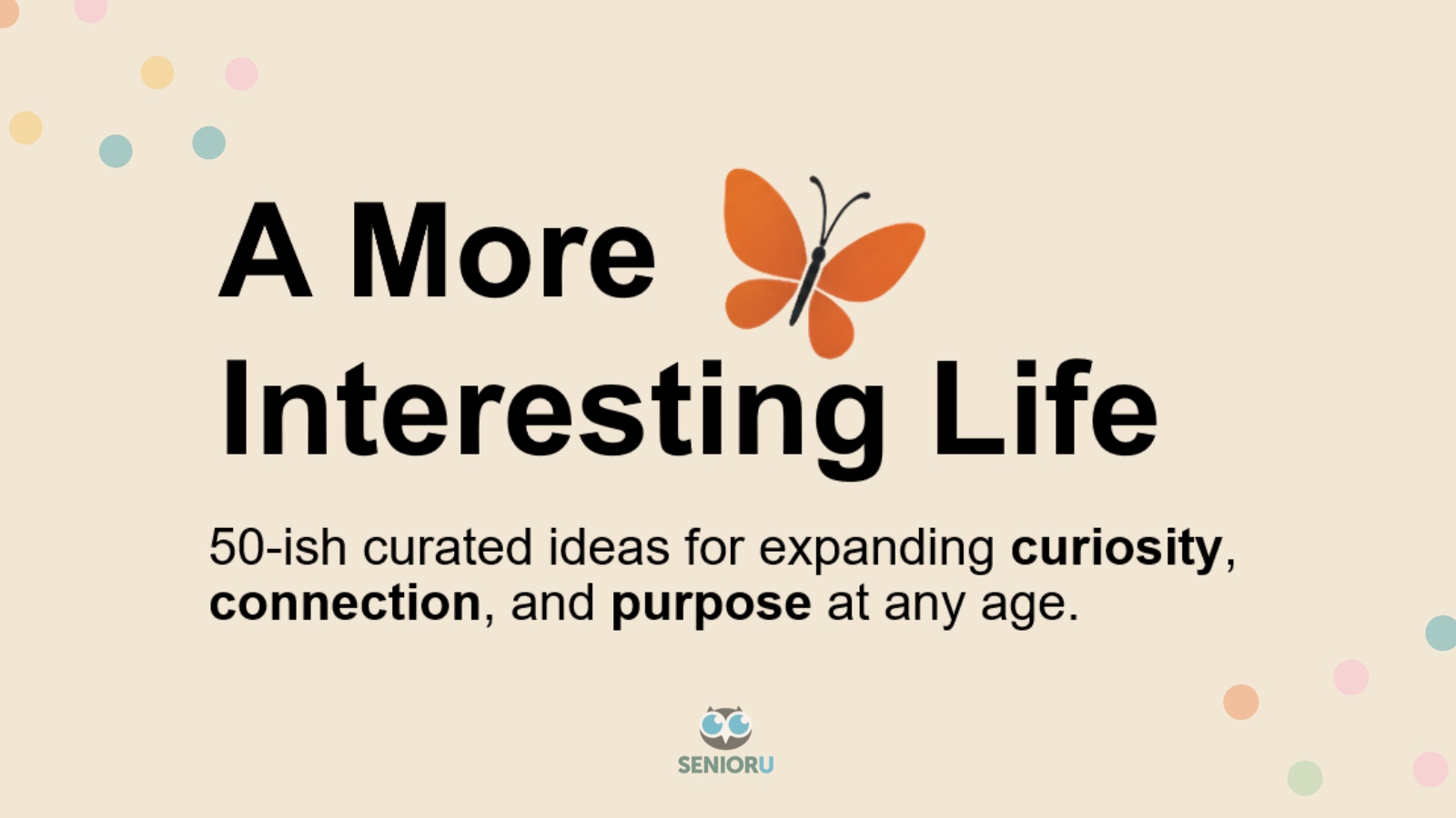 A More Interesting Life program image