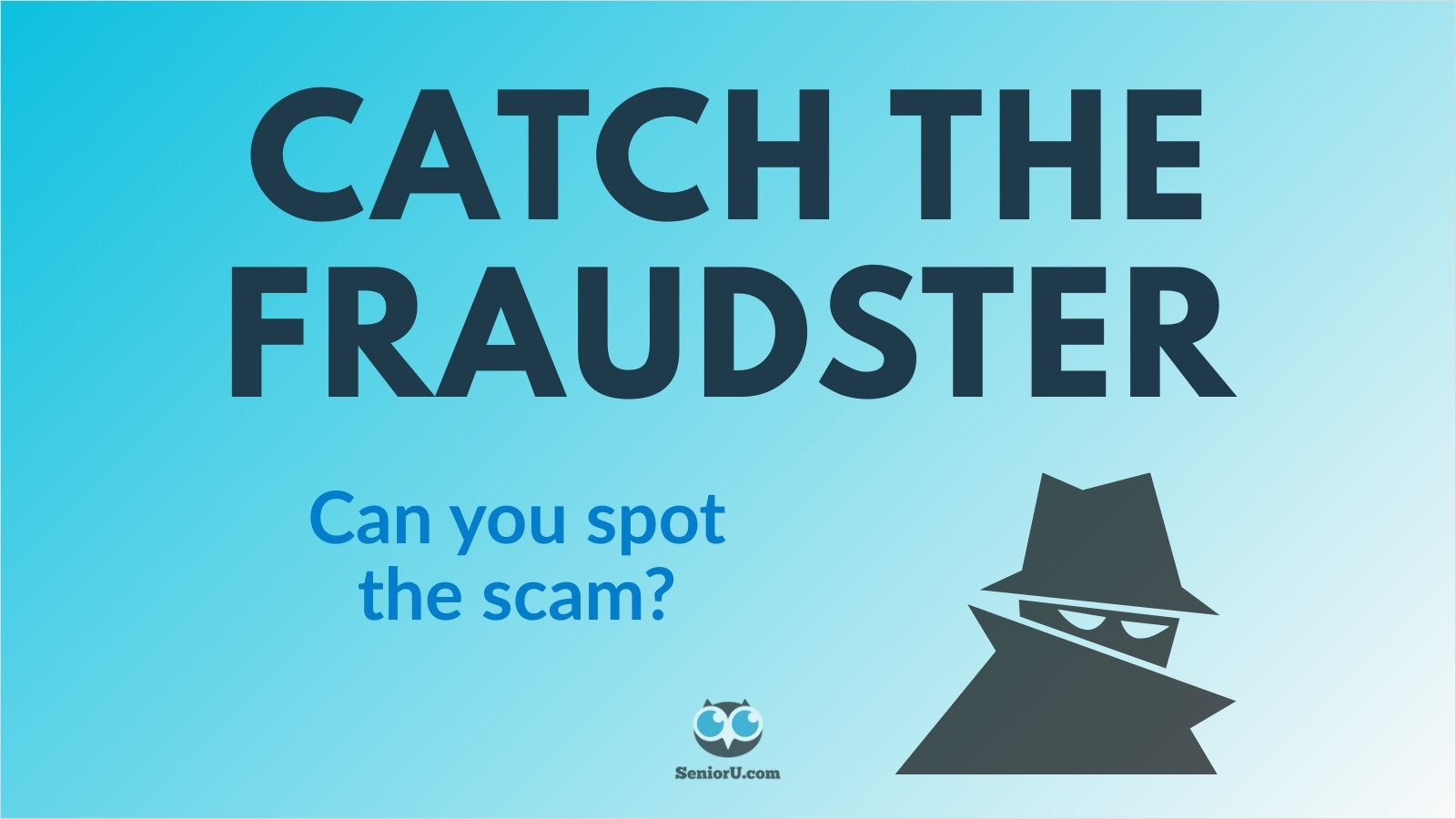 Catch the Fraudster program image