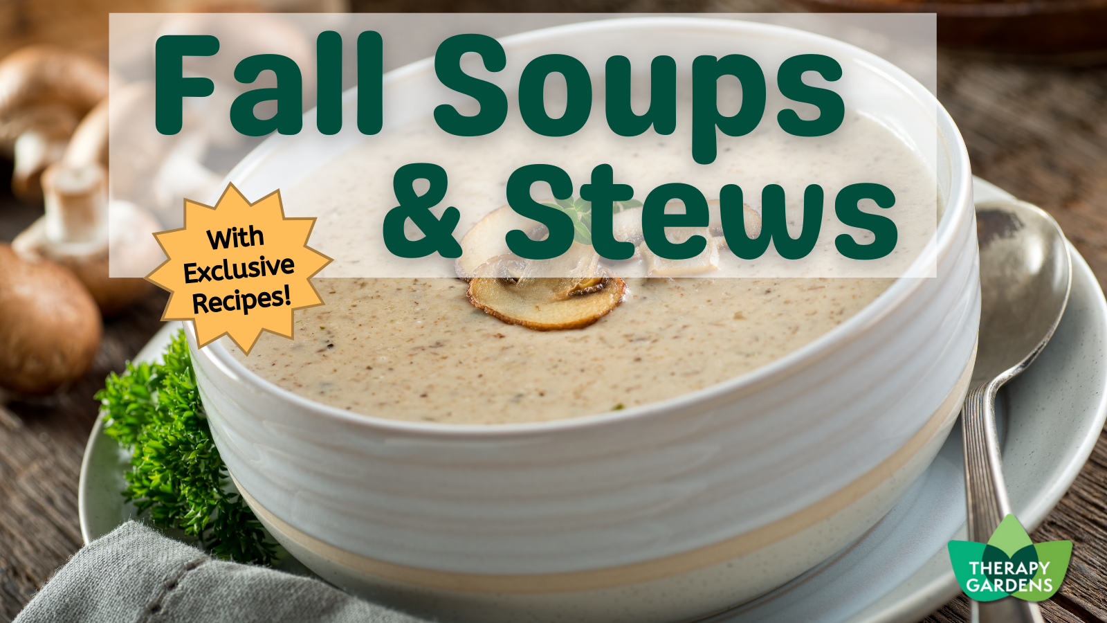 Fantastic Fall Soups program image