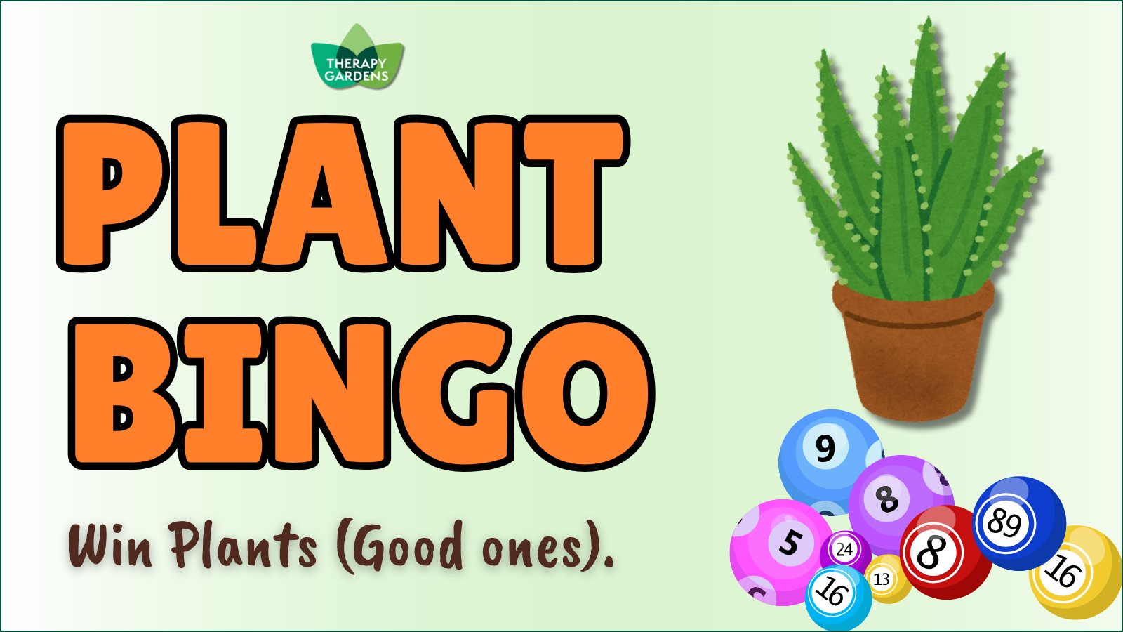 Plant Bingo program image