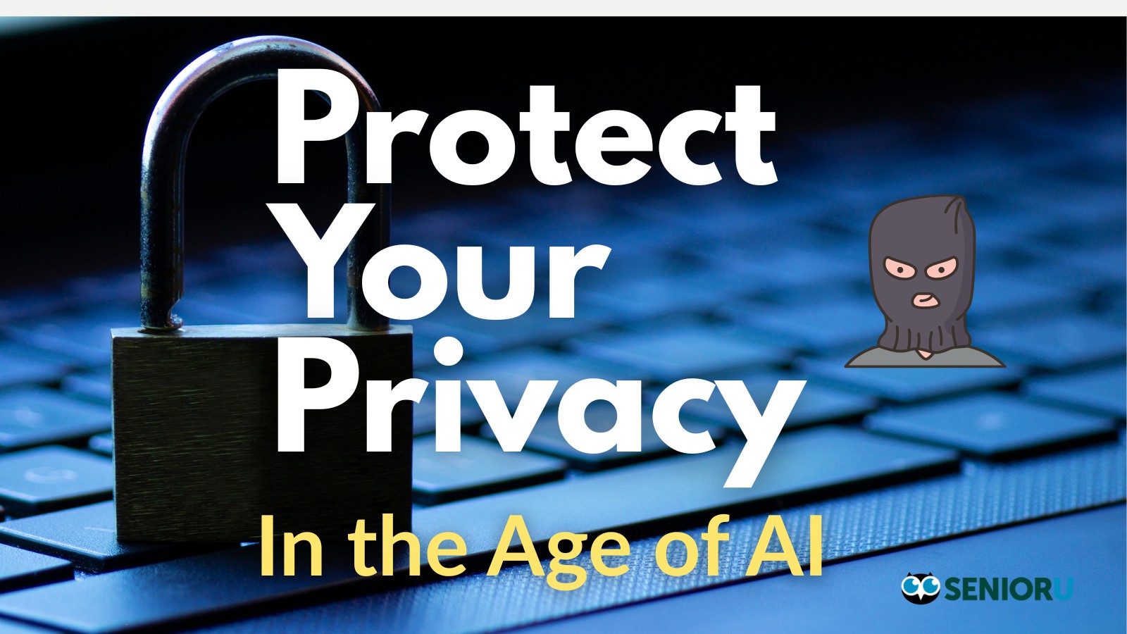 Protect Your Privacy in the Age of AI program image